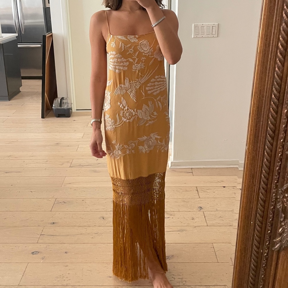 Johanna Ortiz Embroidered Fringe Slip Dress / Gown